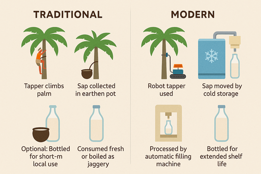 How Neera Is Collected: Then and Now